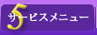 ӥ˥塼